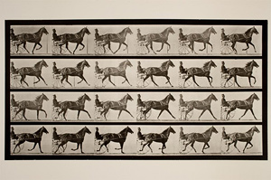 Eadweard J. Muybridge , Trotting; sulky; breaking to gallop; sorrel mare, Flode Holden, ca. 1884 - 1887. George Eastman House