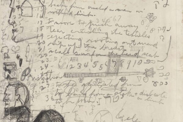 Printed Photograph of Deer from National Geographic. Includes Handwritten Notes on Reverse, Including Hebrew Text and Sketches of Male Head and Star of David. Documents. Sidney M. Hirsch Collection.